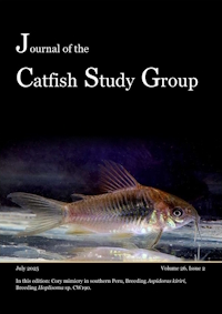Volume 26 issue 2: April 2025